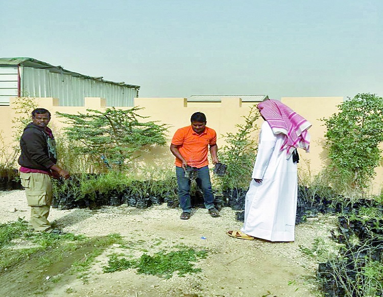 alsharq